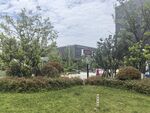 城市中的绿意景观一角