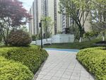 小区内的优美园林小径