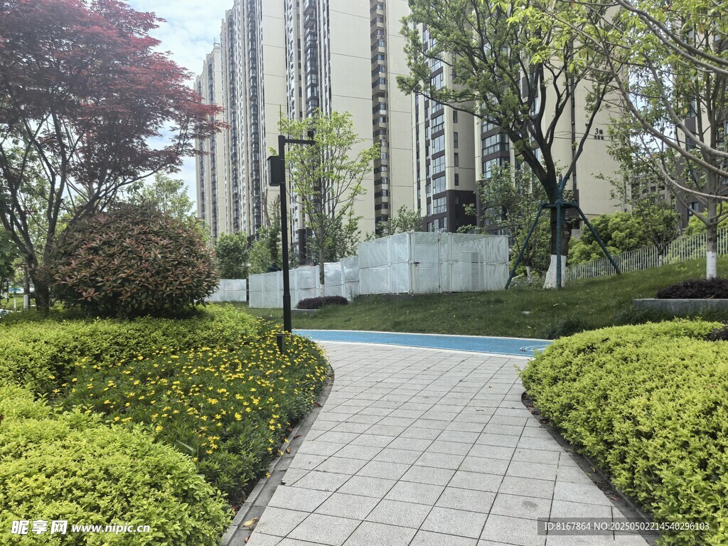 小区内的优美园林小径
