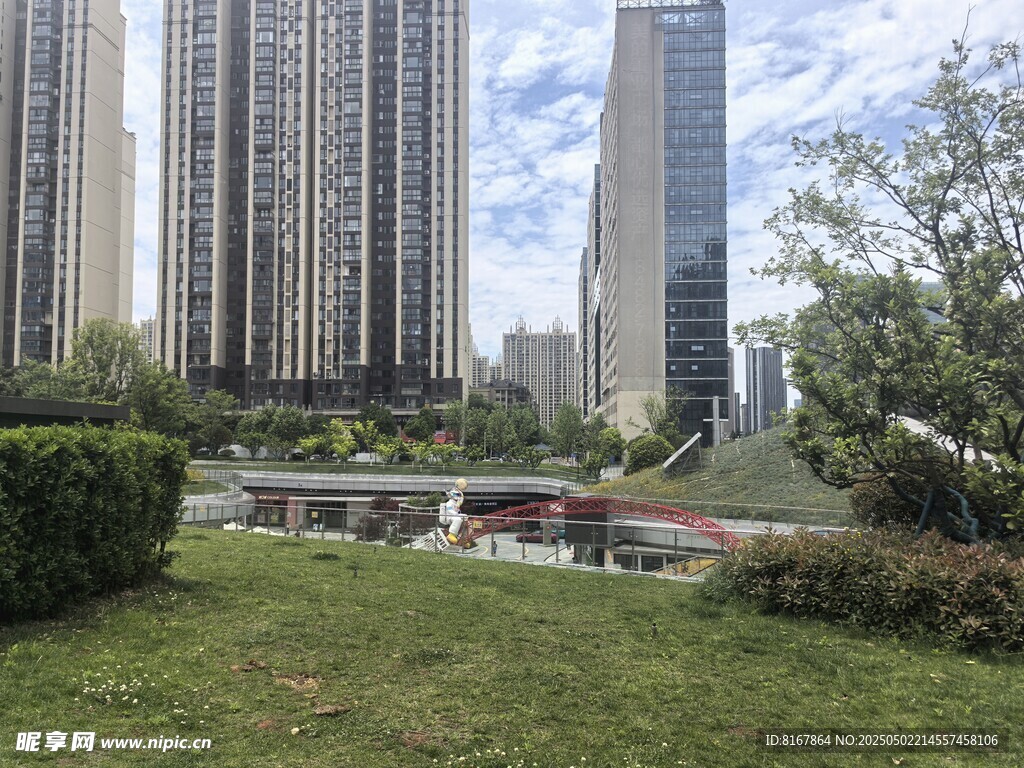 城市中的绿地与高楼景观