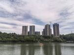湖畔高楼林立的城市风光