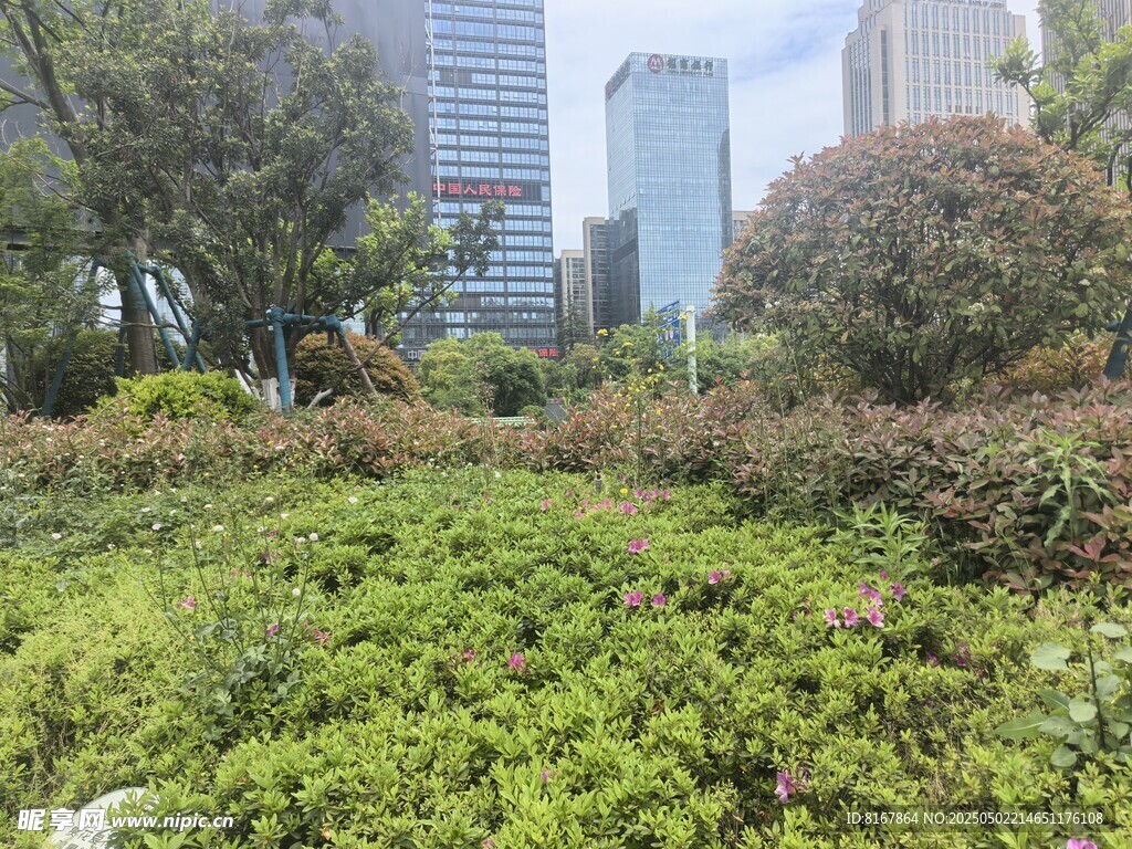 城市中的绿植景观