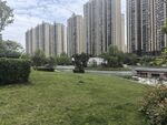 城市中的绿地与高楼景观