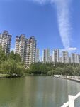 湖畔高楼美景
