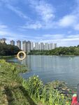 湖畔风光与城市建筑景致