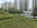 城市中的绿地与高楼景观