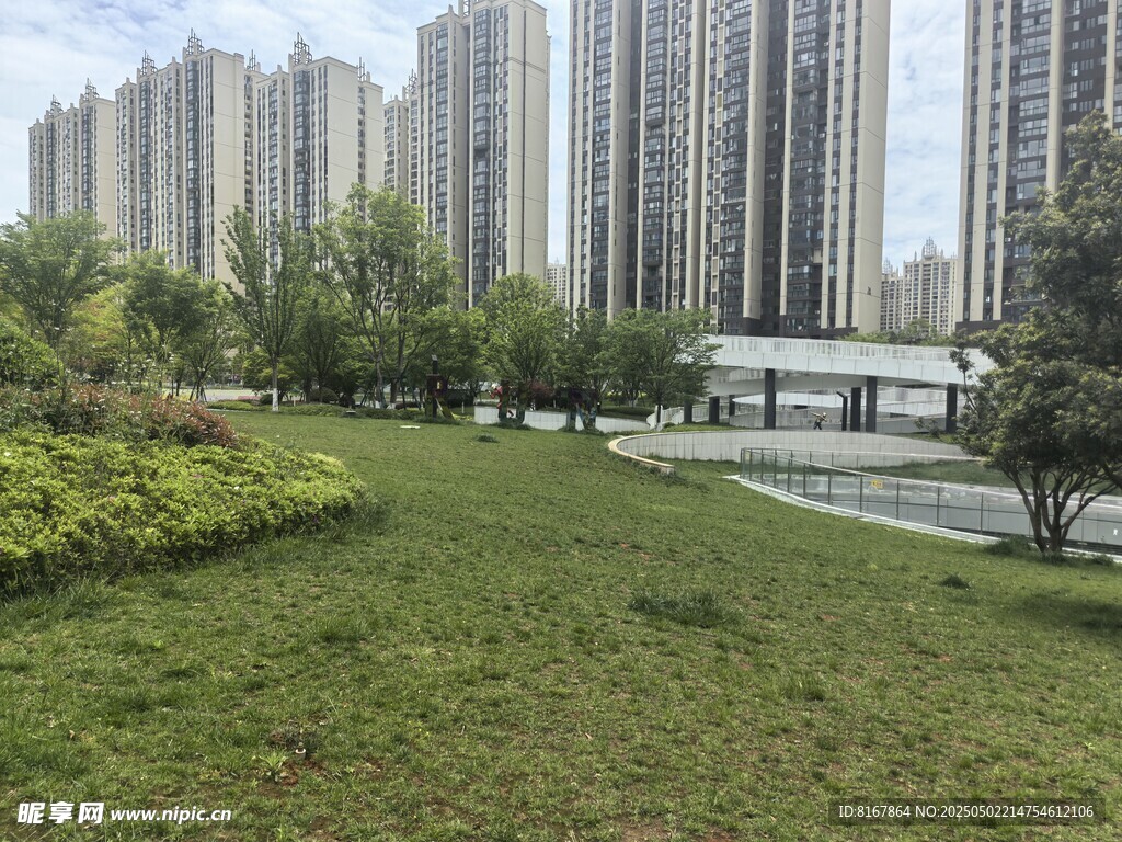 城市中的绿地与高楼景观