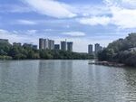 河畔城市风光