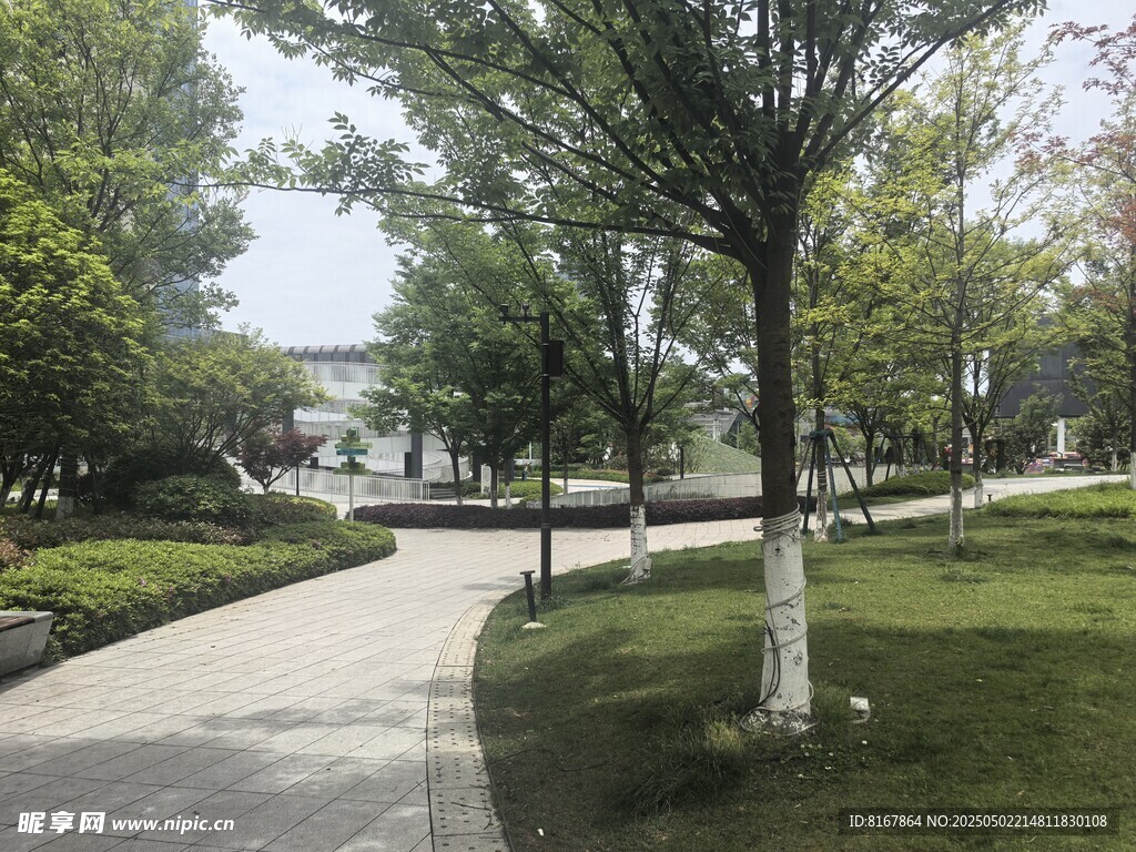 城市中的静谧林荫小道