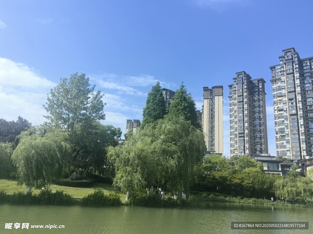 湖畔高楼与葱郁绿树景观