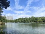 湖畔风光 绿树蓝天映碧水
