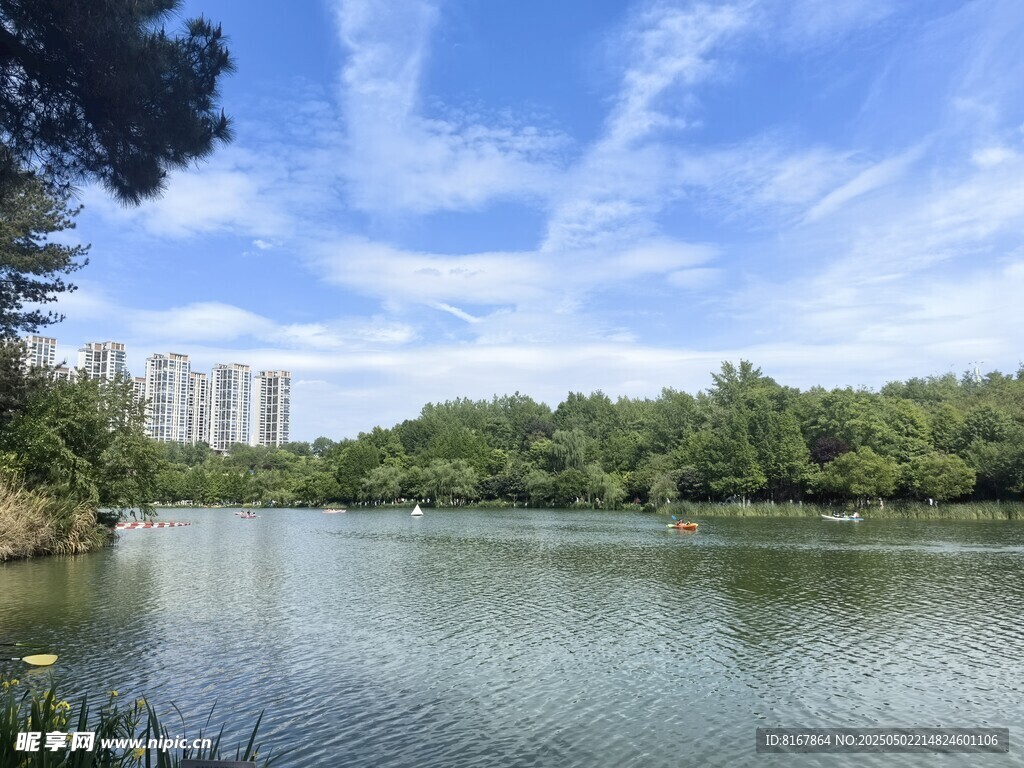 湖畔风光 绿树蓝天映碧水