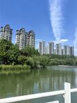 湖畔高楼美景
