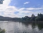 宁静湖畔风光