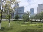 城市绿地与现代建筑景观