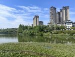 湖畔高楼林立的城市风光
