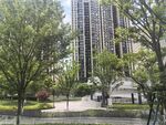 城市中的绿树与高楼景观