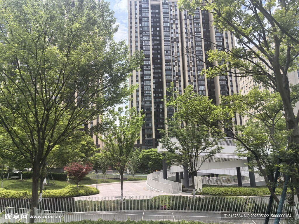 城市中的绿树与高楼景观