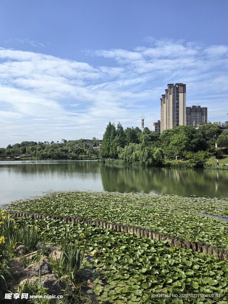 湖畔风光与远处城堡景致