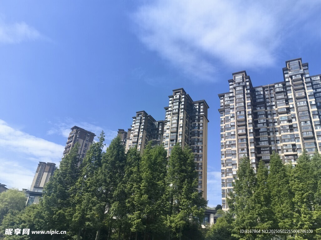 高楼林立间绿树点缀