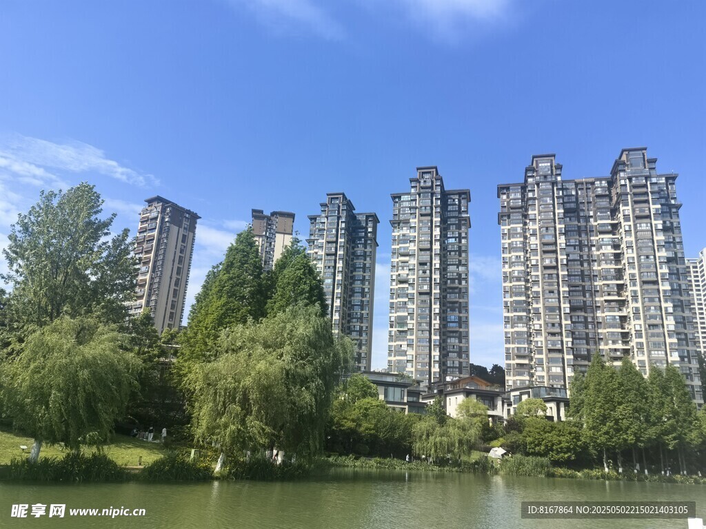 湖畔高楼林立的城市景致