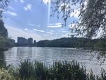 湖畔风光 宁静自然景致