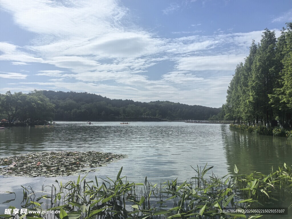 宁静湖畔风光
