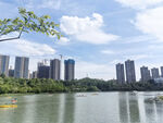 湖畔高楼林立的城市风光