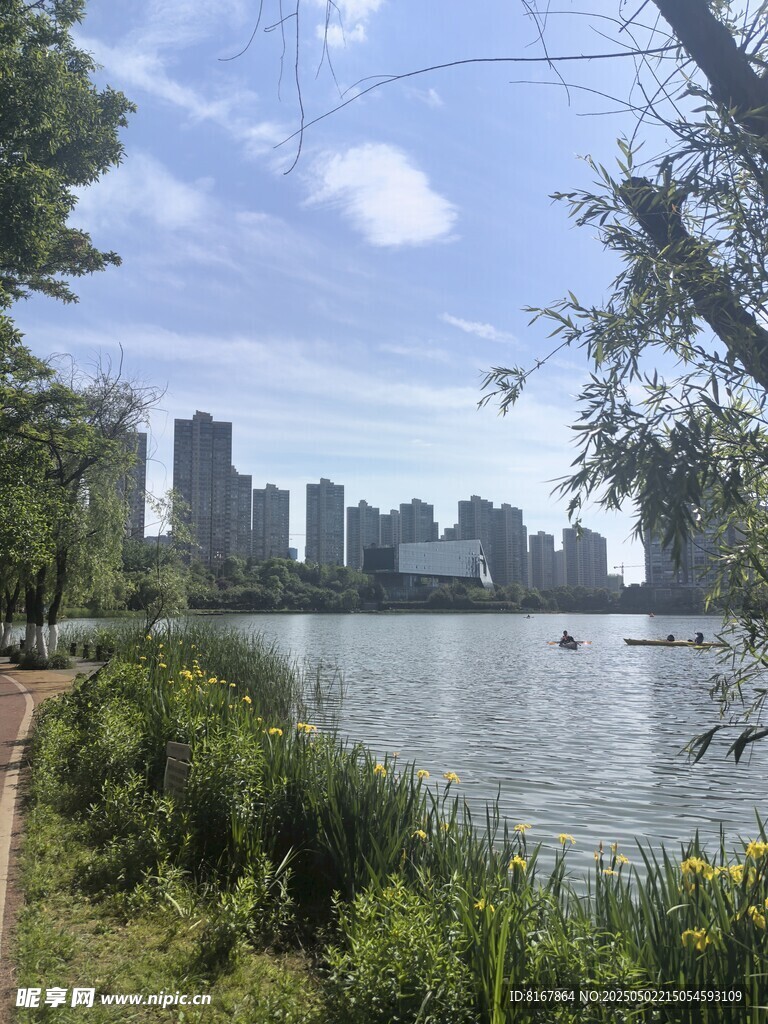 湖畔城市风光美景