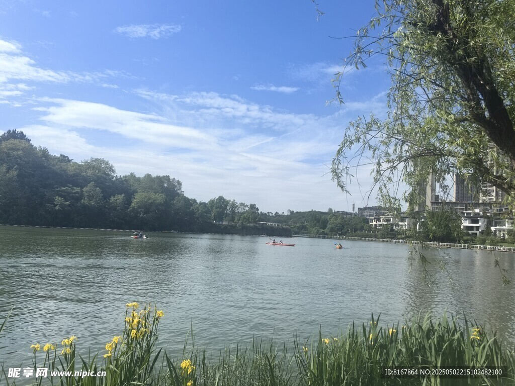 湖畔风光 绿意盎然的景致