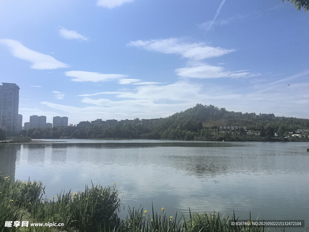湖畔城市风光美景