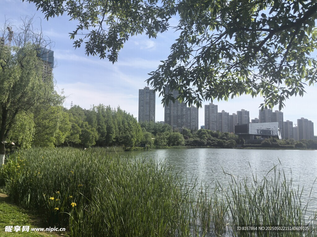 湖畔城市风光美景