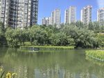 湖畔高楼景