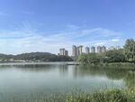湖畔城市风光美景