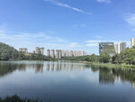 湖畔城市风光美景