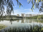 湖畔城市风光 宁静美好