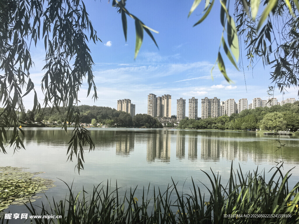 湖畔城市风光 宁静美好