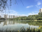 阅山湖