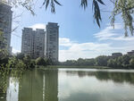 湖畔高楼美景