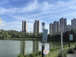 湖畔高楼风景