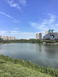 湖畔城市风光美景
