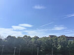 蓝天绿树风景图