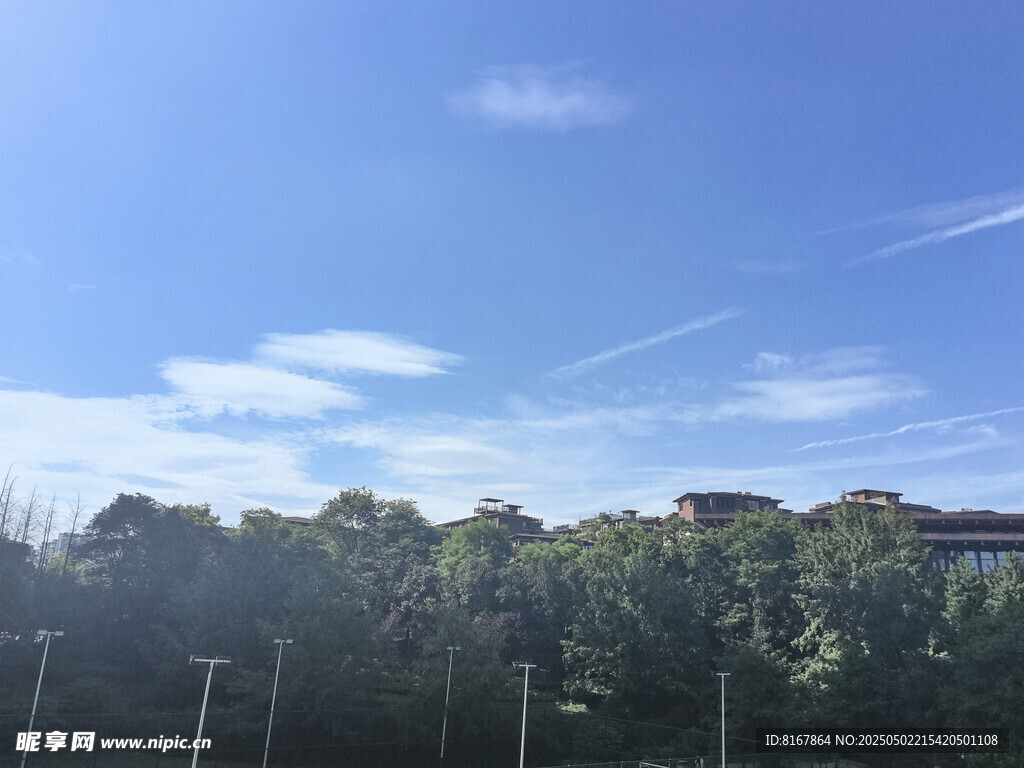 蓝天绿树风景图
