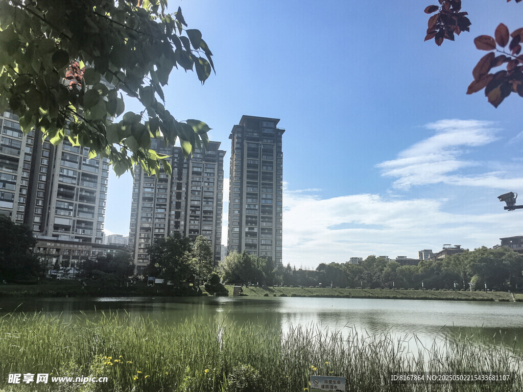 湖畔高楼与葱郁景致