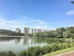 湖畔城市风光美景如画