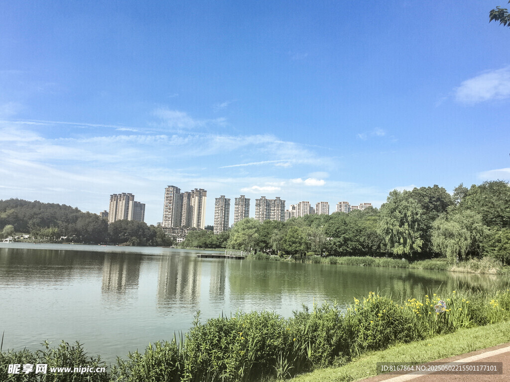 湖畔城市风光美景如画