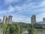 湖畔高楼与葱郁绿树景观