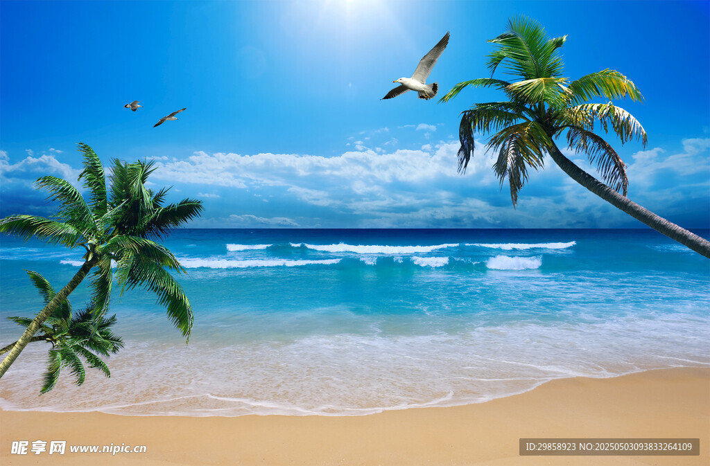 美丽海滩海景风光画面