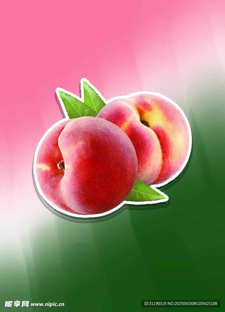 春上蜜桃