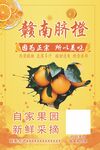 赣南脐橙